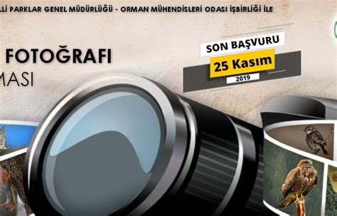Aynasız Fotoğraf Makineleri