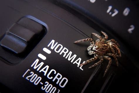 Makro Fotoğrafçılık