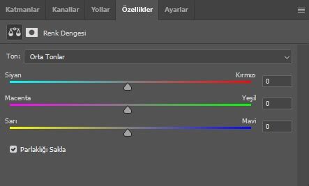 Video Kamera Ayarları
