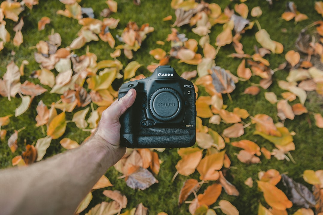 aynasız fotoğraf makinesi nedir