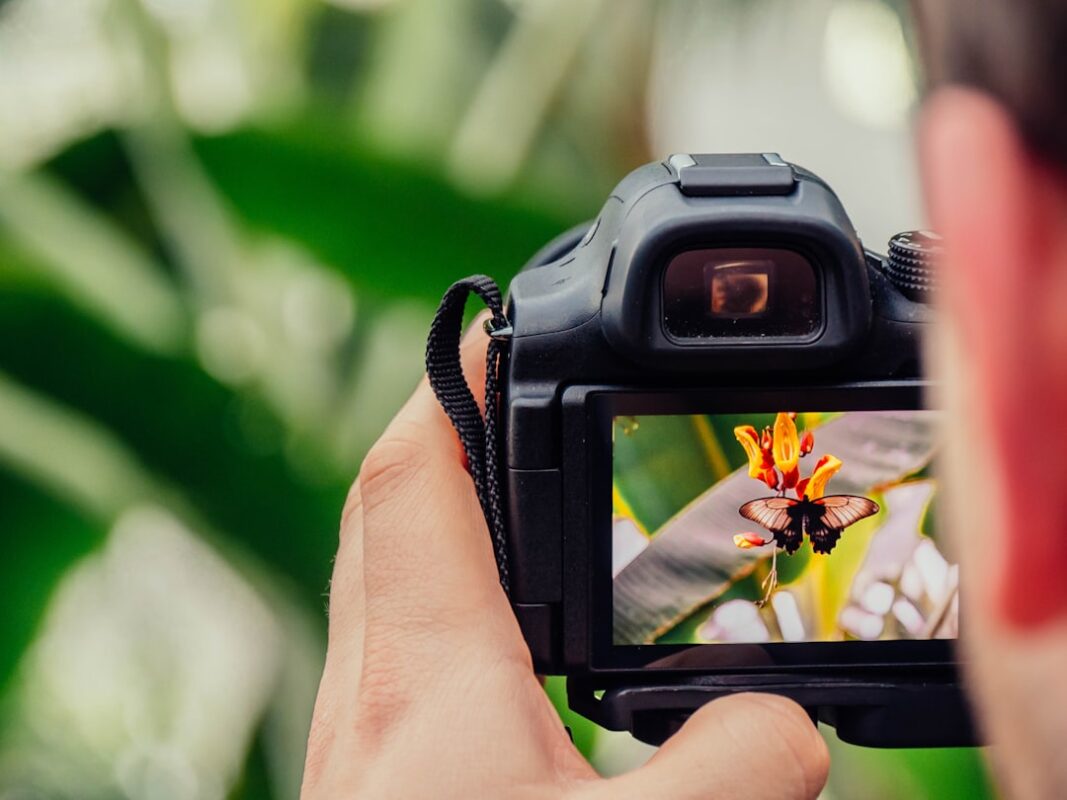 Fotoğraf Baskı Makinesi İle Baskı Keyfini Yaşayın