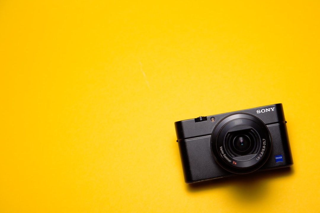 kompakt fotoğraf makinesi